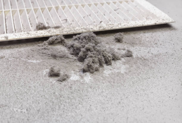 Best HVAC Maintenance and Cleaning  in Le Mars, IA